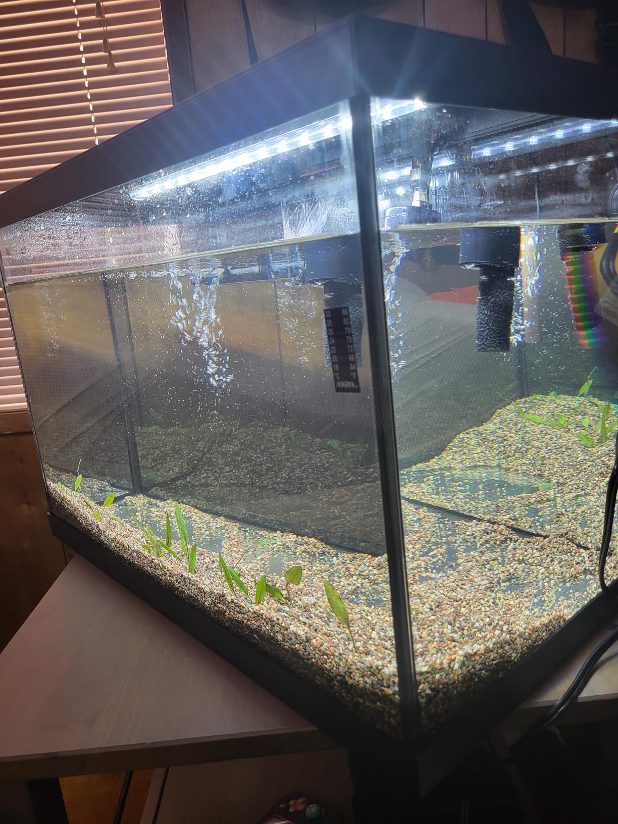 Marina 20 Gallon LED Aquarium Kit with Filter, Lighting & Accessories | Complete Fish Tank Setup customer photo 2