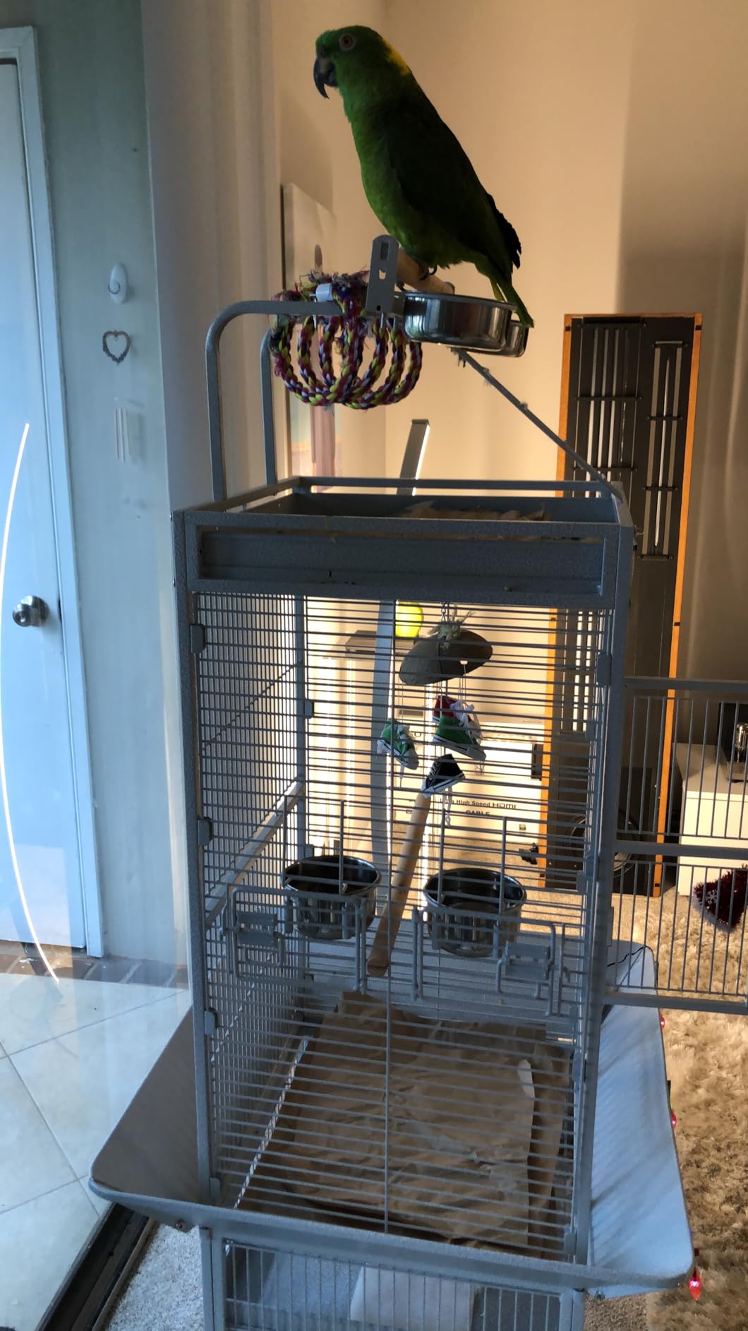 Yaheetech Wrought Iron Bird Cages, Play Top Large Aviary with Stand for Cockatiel Parrot Sun Parakeet Conures Lovebird Budgie Finch African Grey White, 61-inch customer photo 1