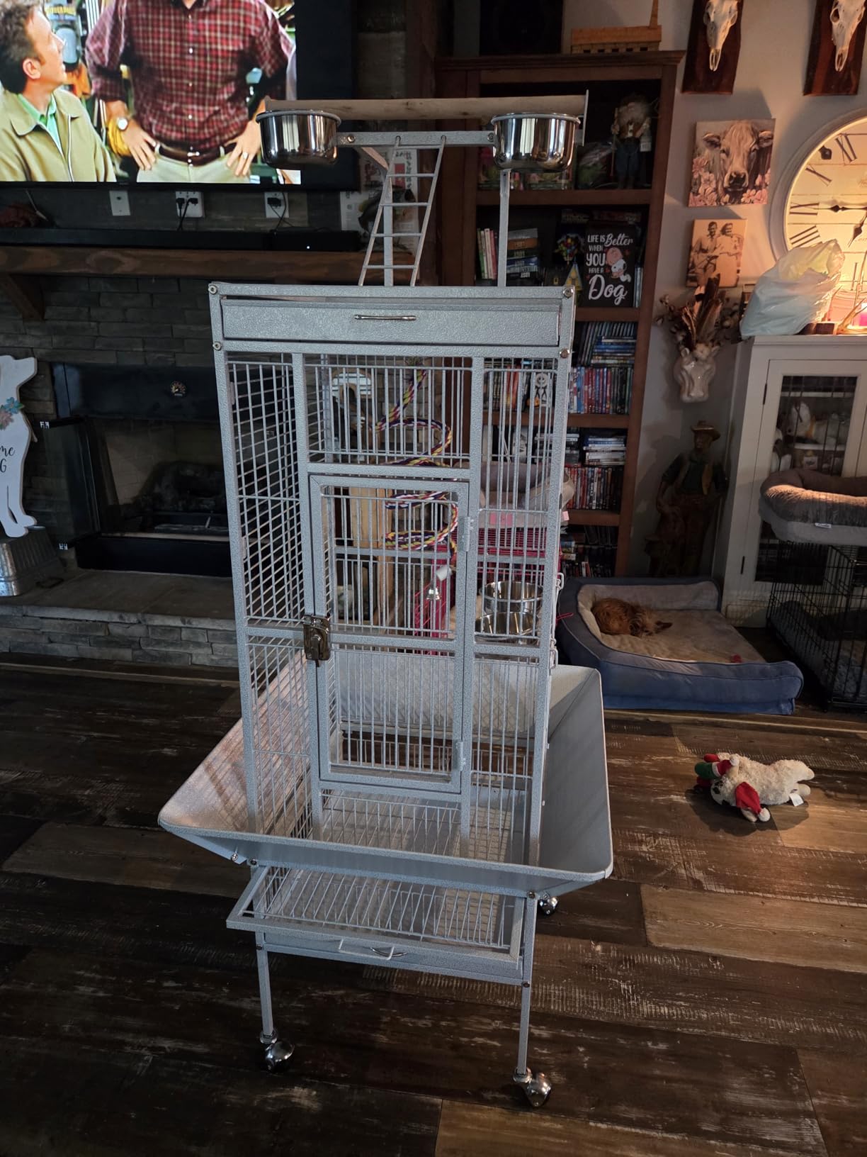Yaheetech Wrought Iron Bird Cages, Play Top Large Aviary with Stand for Cockatiel Parrot Sun Parakeet Conures Lovebird Budgie Finch African Grey White, 61-inch customer photo 2