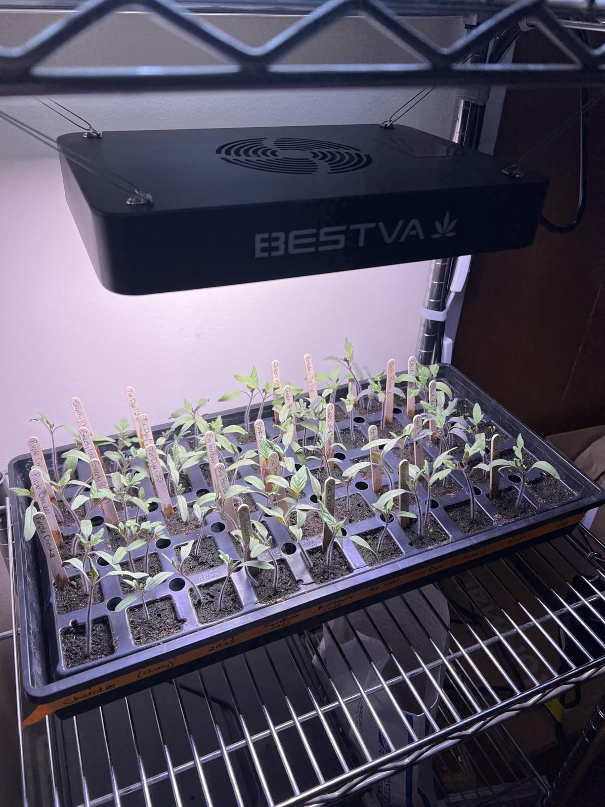 BESTVA DC1000 LED Grow Light, Full Spectrum Grow Lights for Indoor Plants | 100W LED Plants Light with Veg & Bloom Mode for Indoor Plants Growing, Hanging Plant Lamps Fits for 2x2 Grow Tent, Greenhouse customer photo 1