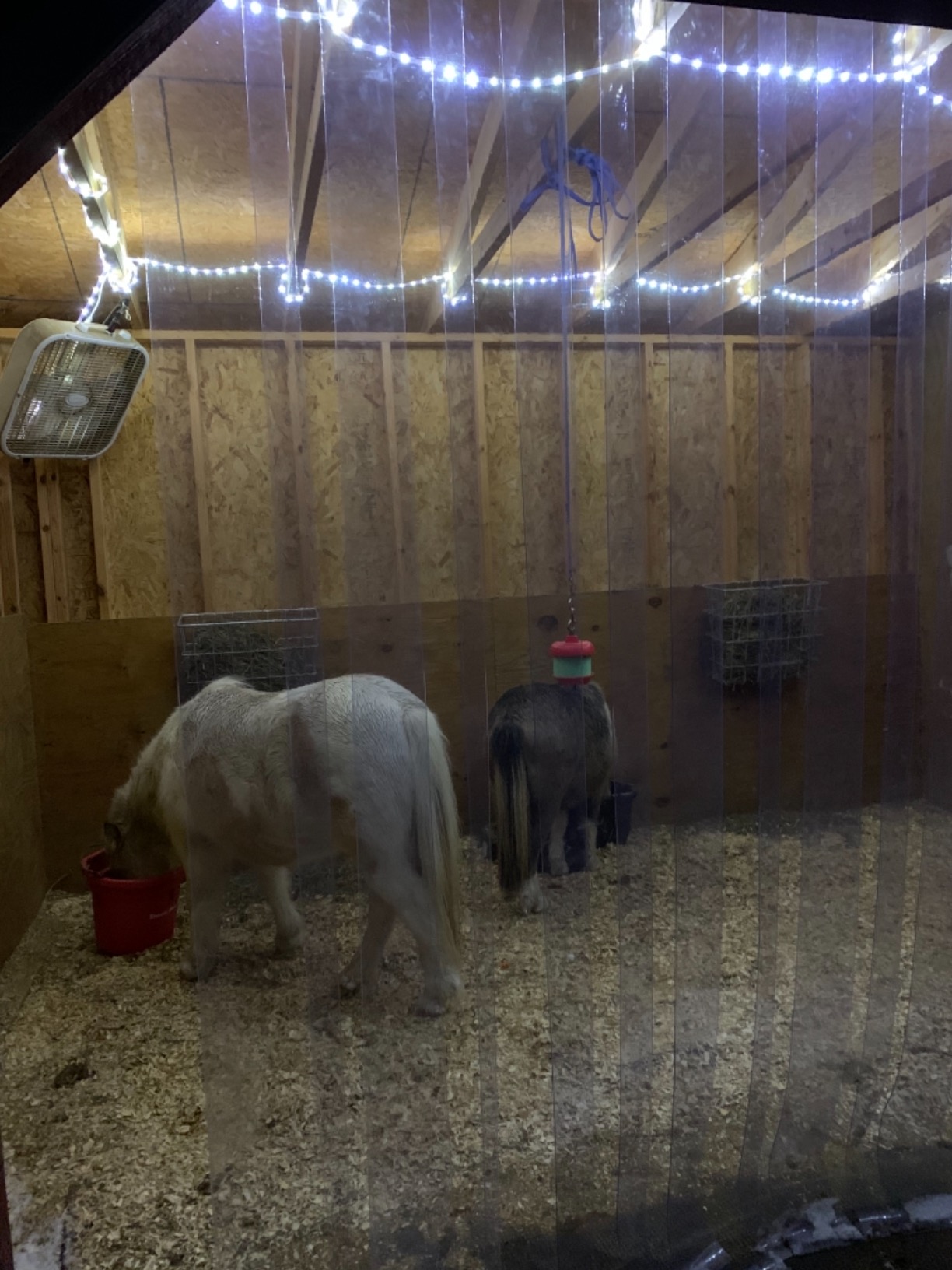 Premier 1 X-Tuff Single Sided Hay Feeder, Hot-Dip Galvanized, Small Openings Reduce Waste, Lambs Eat Through Bottom, L-hooks Hang on Panels up to 2 Inch Thick customer photo 1