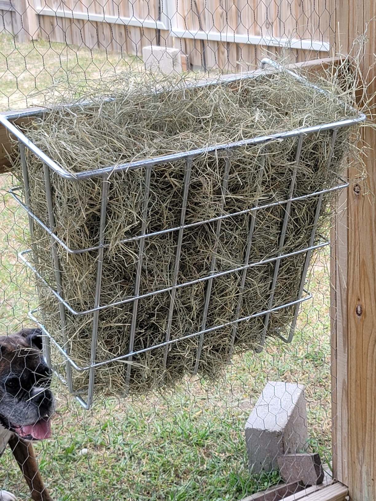 Premier 1 X-Tuff Single Sided Hay Feeder, Hot-Dip Galvanized, Small Openings Reduce Waste, Lambs Eat Through Bottom, L-hooks Hang on Panels up to 2 Inch Thick customer photo 2