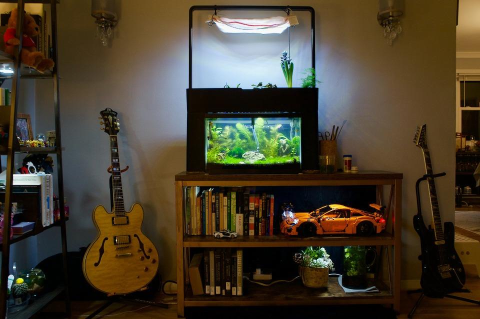 AquaSprouts Aquaponics Garden, Self-Sustaining Desktop Aquarium Hydroponics Ecosystem Kit, fits Standard 10 Gallon Aquariums customer photo 1