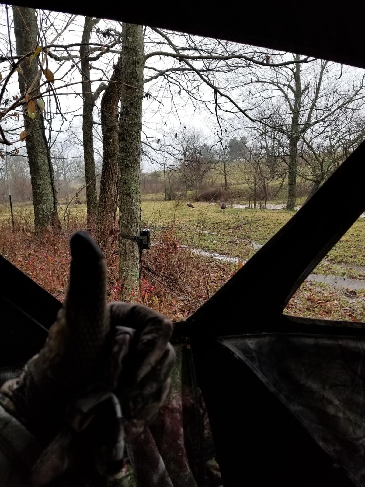 Barronett Blinds RA200BW Radar Pop Up Portable Blind, Bloodtrail Backwoods Camo, 67