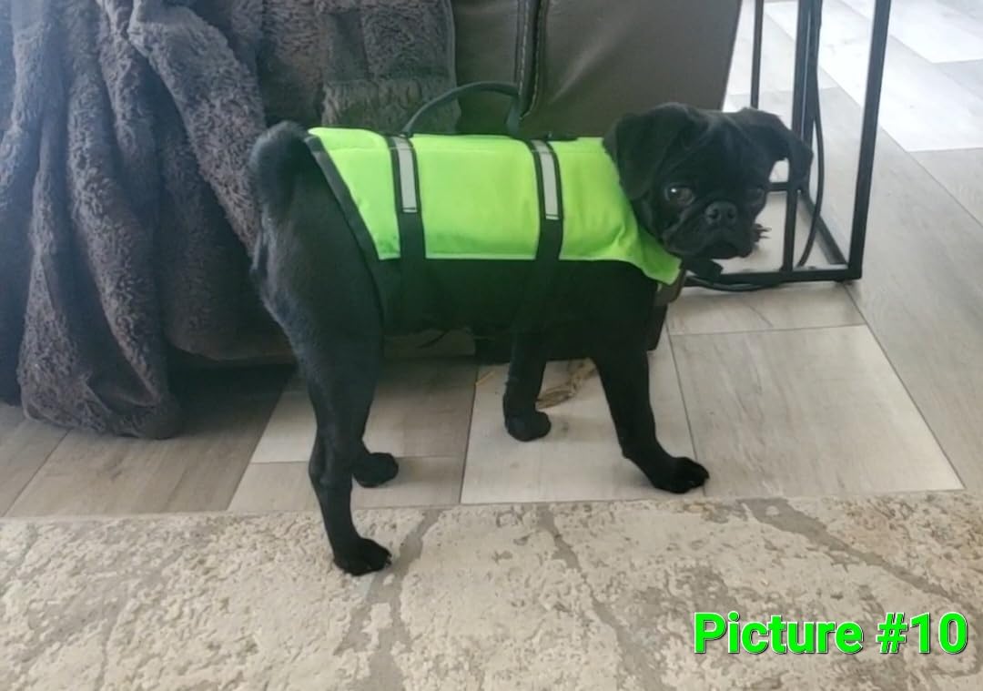VIVAGLORY Dog Life Vest Rip Stop Dog Swim Vest, L, Bright Yellow | High Visibility Ripstop for Puppy Cat Doggy, Life Jacket with Handle & Leash Ring for Boating & Swimming customer photo 1