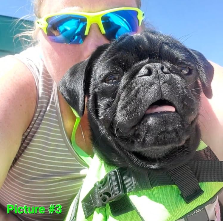 VIVAGLORY Dog Life Vest Rip Stop Dog Swim Vest, L, Bright Yellow | High Visibility Ripstop for Puppy Cat Doggy, Life Jacket with Handle & Leash Ring for Boating & Swimming customer photo 2