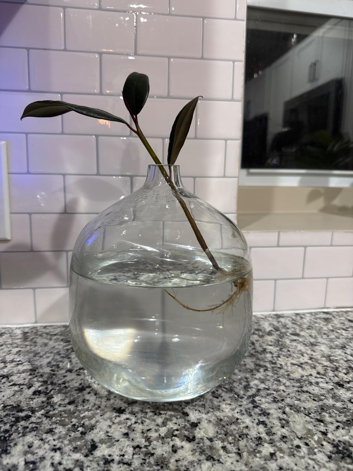Bloomingville Stout Clear Glass Vase customer photo 2