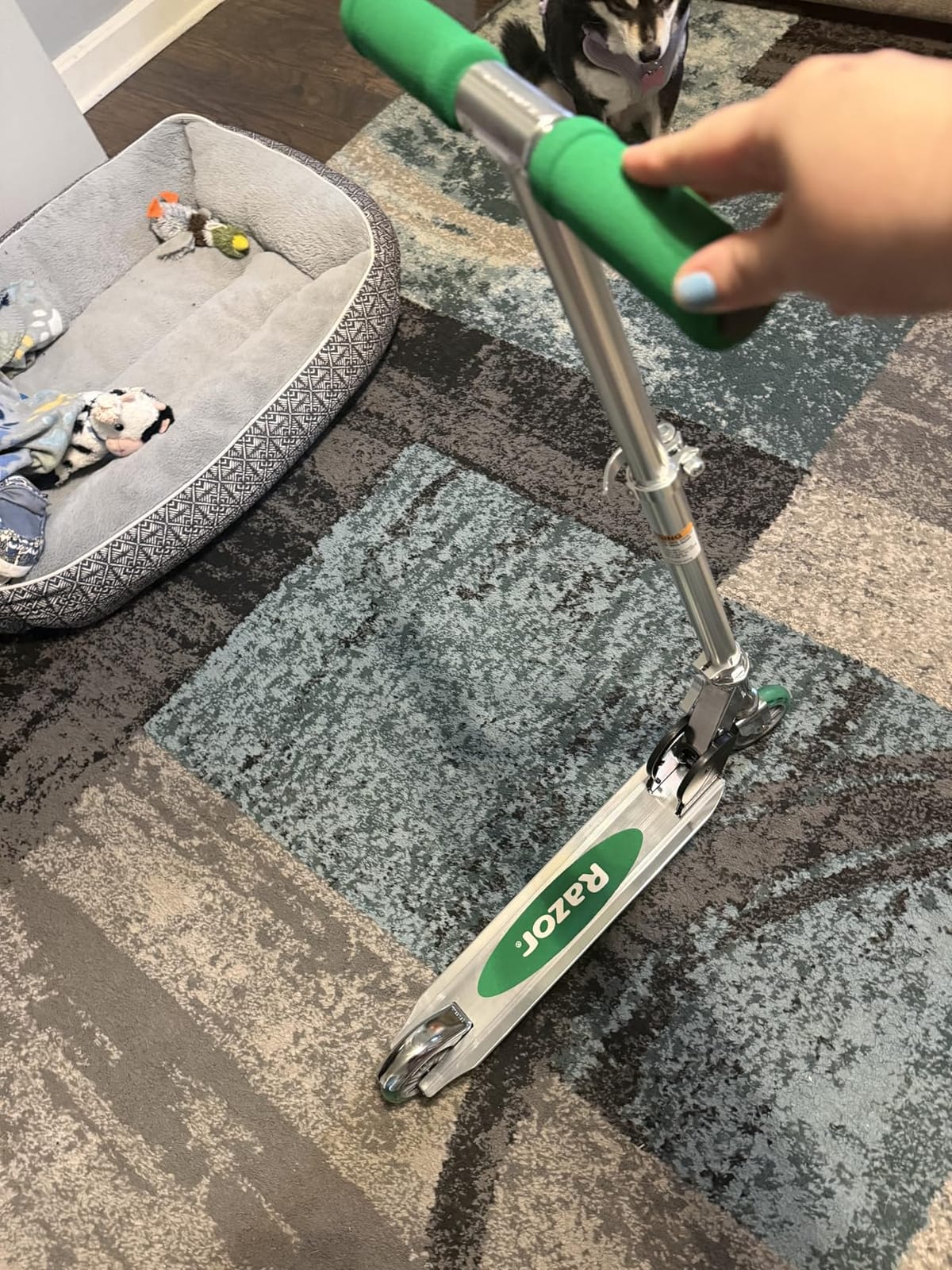 Razor A Kick Scooter for Kids - Lightweight, Foldable, Aluminum Frame, and Adjustable Handlebars customer photo 2