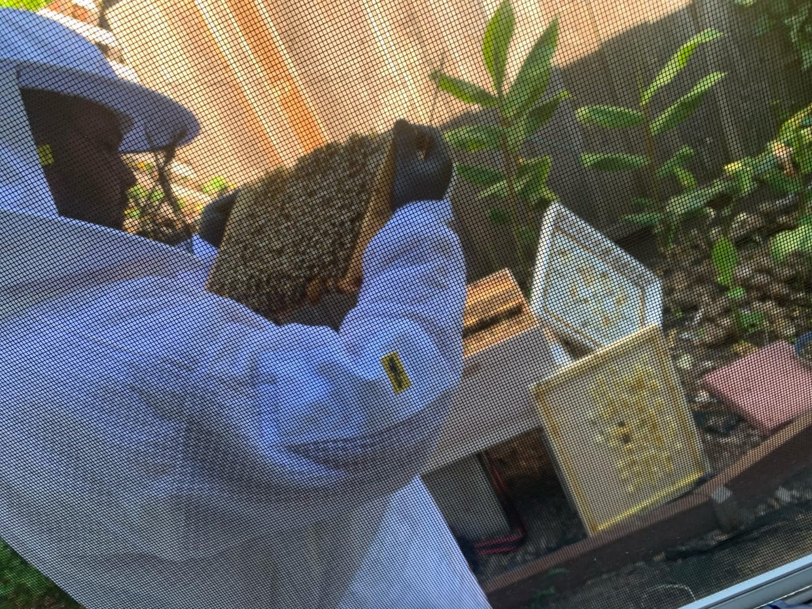3 Layer Ventilated Bee Suit for Men & Women, Sting Proof Beekeeping Suit with Fencing & Round Veil, Professional Beekeeper Suit & Gear (S) customer photo 2