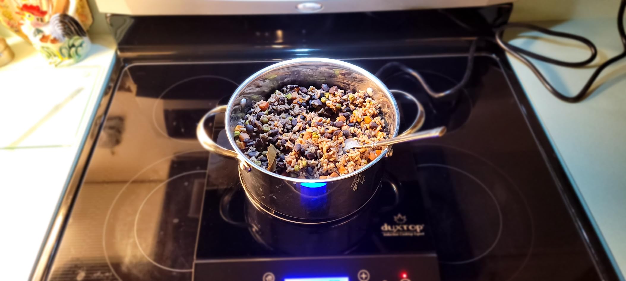 Duxtop Portable Induction Cooktop, Countertop Burner 1800W Silver 9600LS | Induction Hot Plate with LCD Sensor Touch BT-200DZ customer photo 2