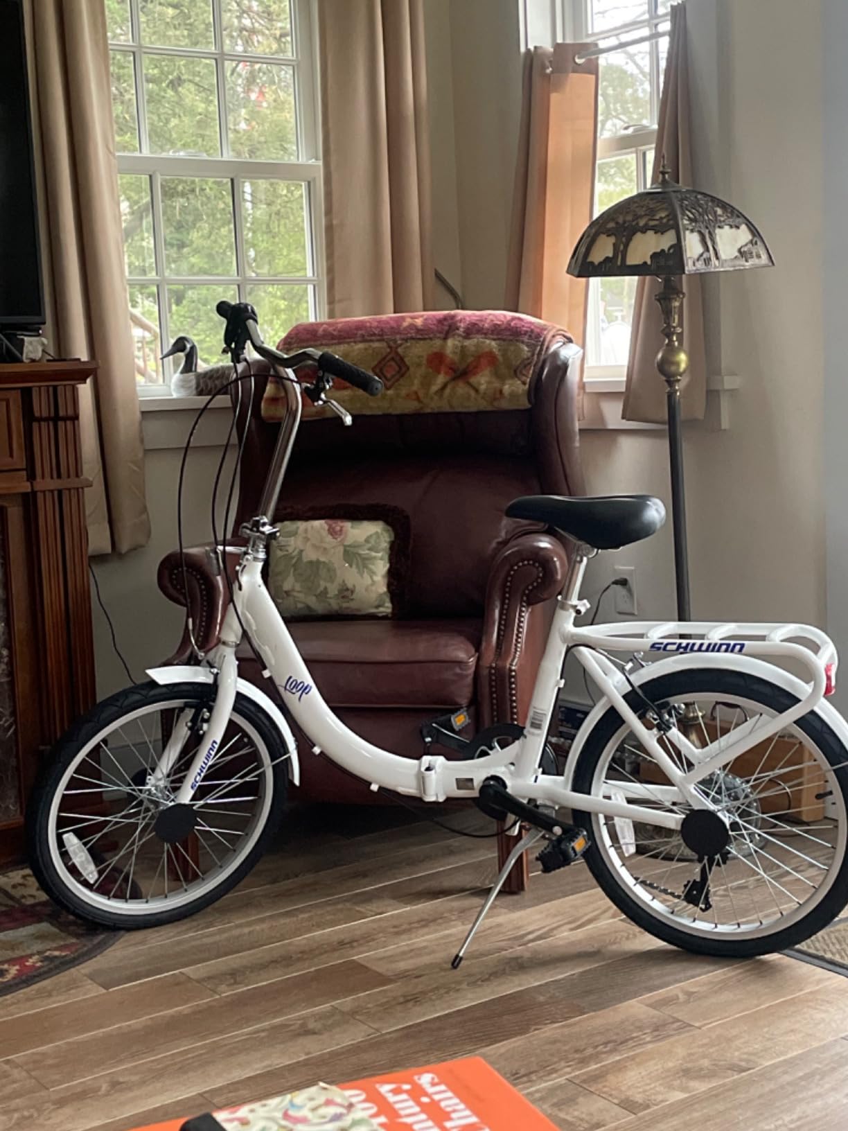 Schwinn Loop Folding Bike customer photo 2