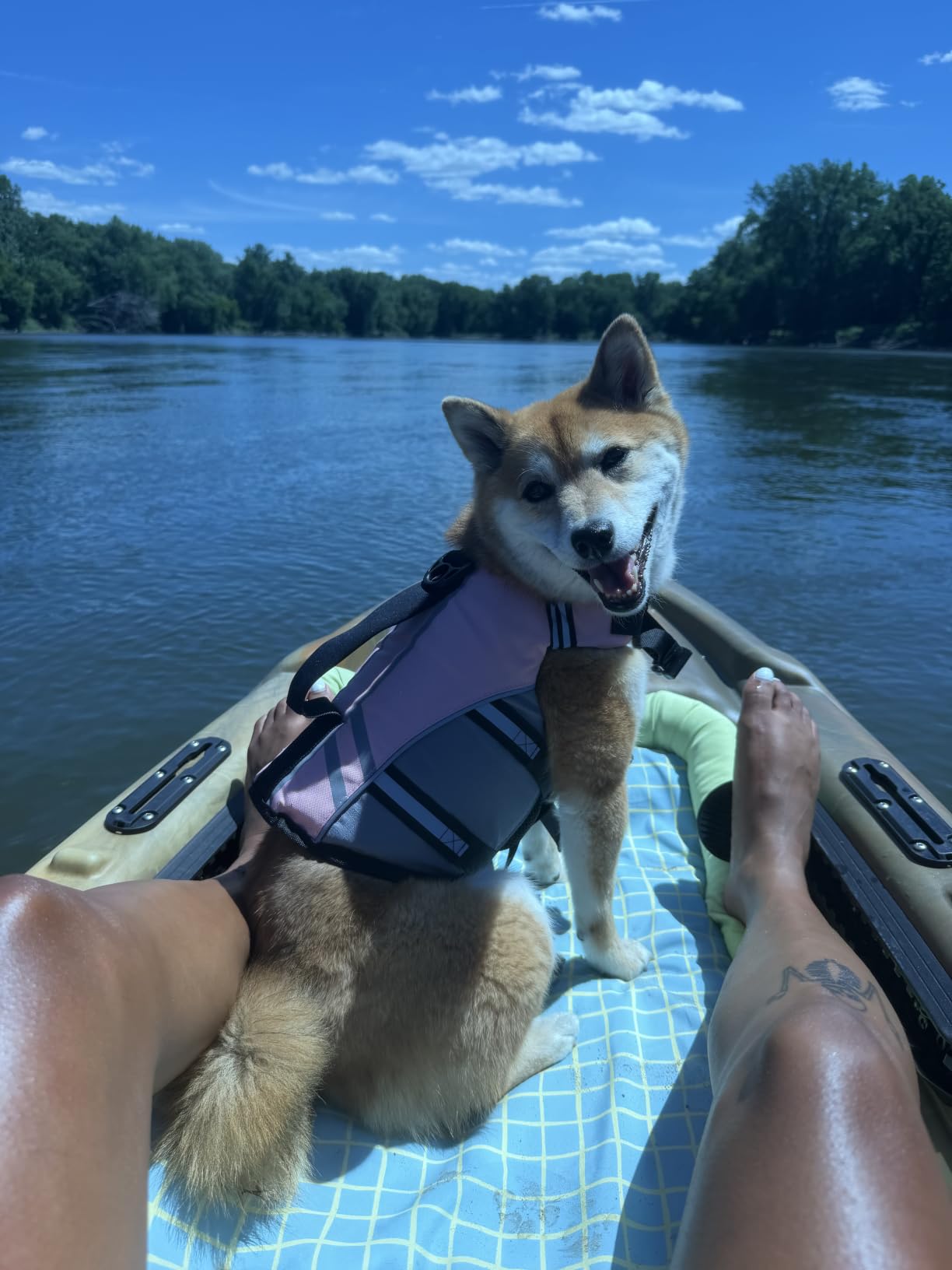 VIVAGLORY Dog Life Vest Sports Style Dog Swim Vest, M, Blue | Lifejacket with Leash Ring & Handle for Swimming & Boating, Reflective Adjustable for Puppy Doggy Cat customer photo 2
