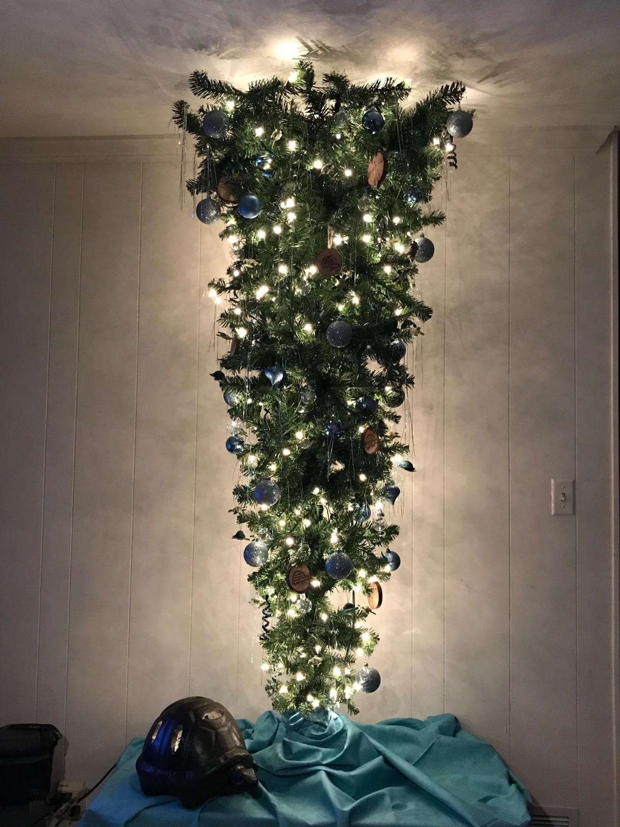 Northlight 5.5' Pre-Lit Medium Spruce Upside Down Artificial Christmas Tree - Clear Lights customer photo 2