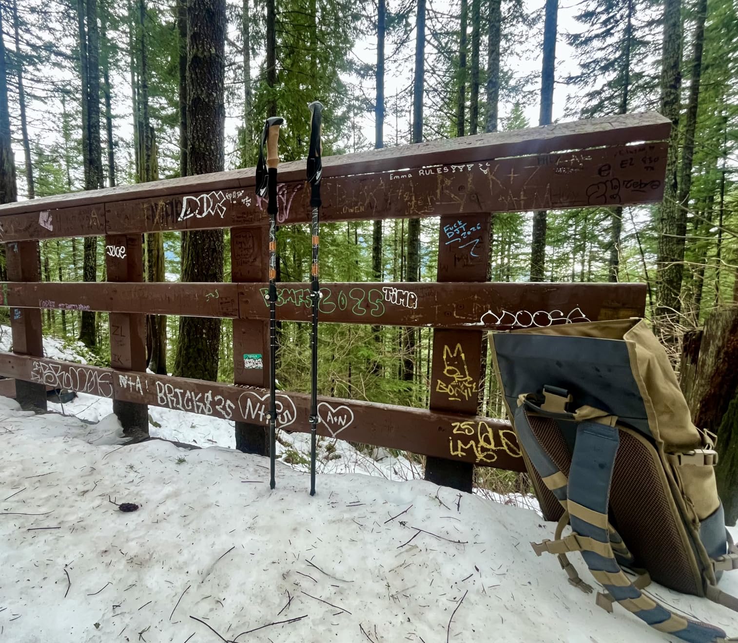 Cascade Mountain Tech Lightweight Aircraft-Grade Aluminum Trekking Poles with Extended Down Grip Plus Tip Kit customer photo 1