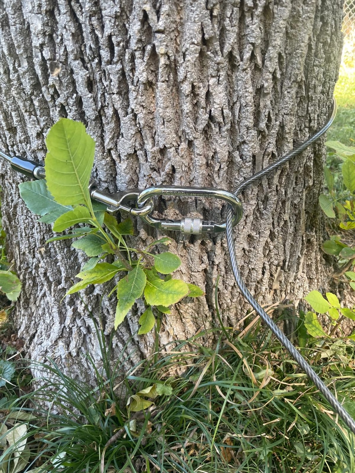 BV Dog Tie Out Cable 25 Feet - Heavy Duty Dog Lead Up to 250 Pounds - Reflective & Rust-Free with Quick Release Swivel Clips & 360° Rotating Clasp - Tangle-Free Dogs Runner for Yard (Grey, Single) customer photo 1