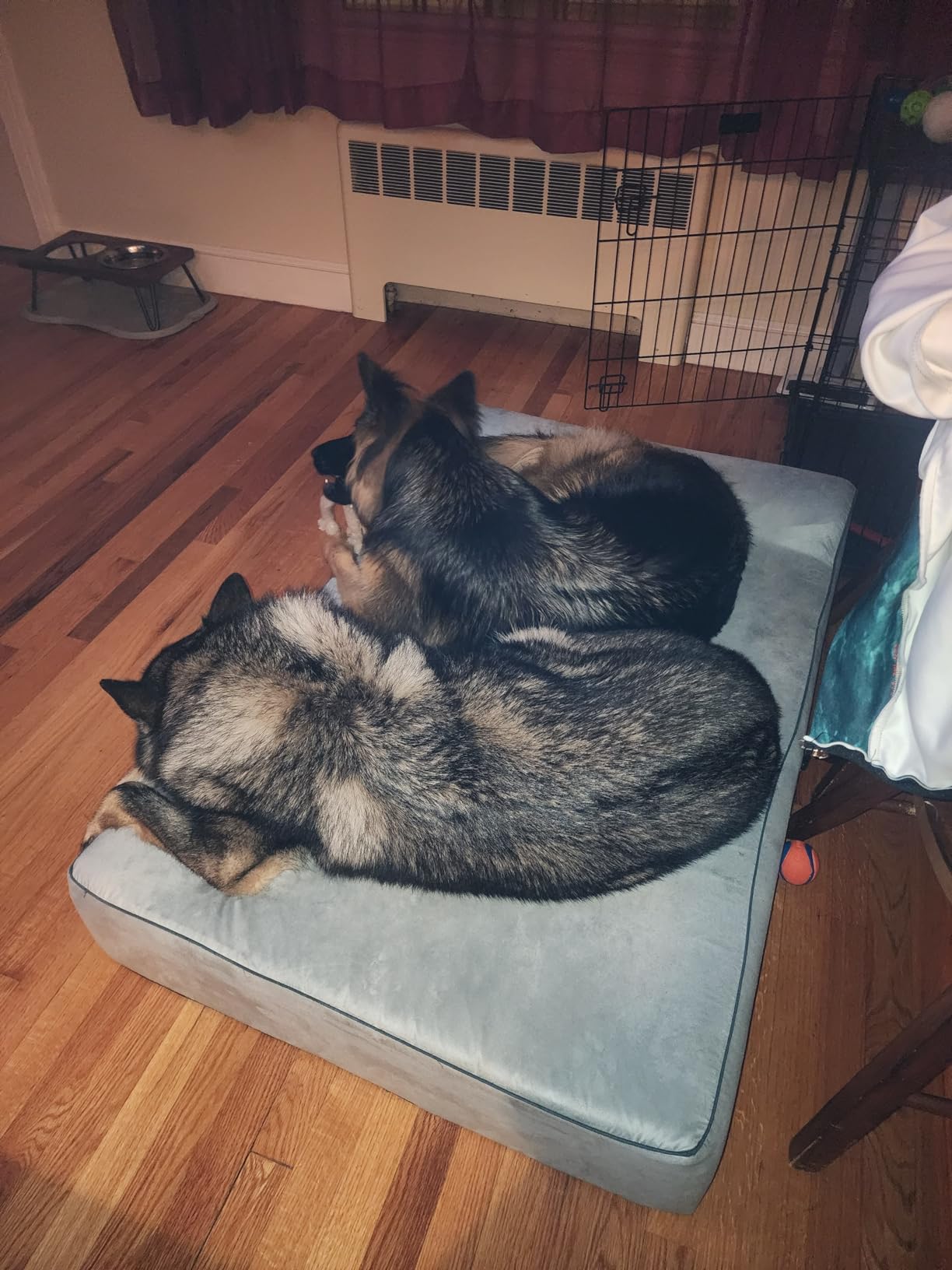 KOPEKS Orthopedic Memory Foam Dog Bed 7