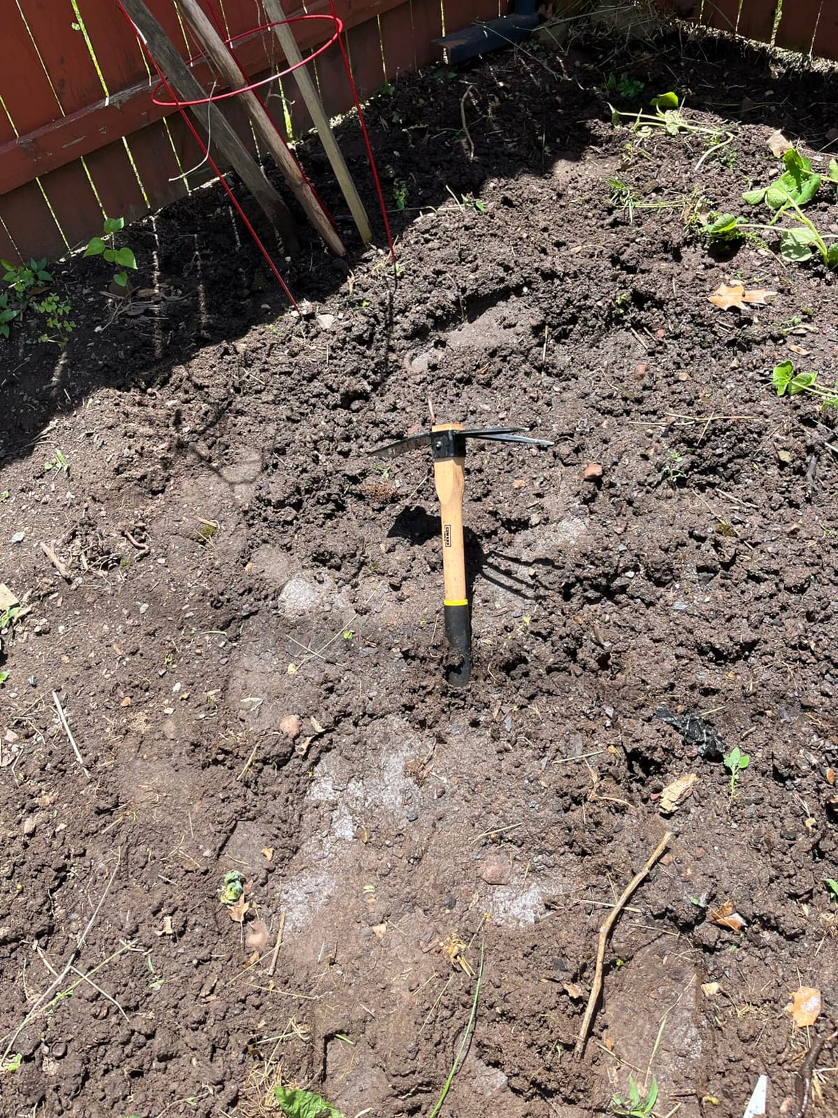 Edward Tools Hoe and Cultivator Hand Tiller - Carbon Steel Blade, Heavy duty for Loosening Soil, Weeding and Digging customer photo 2