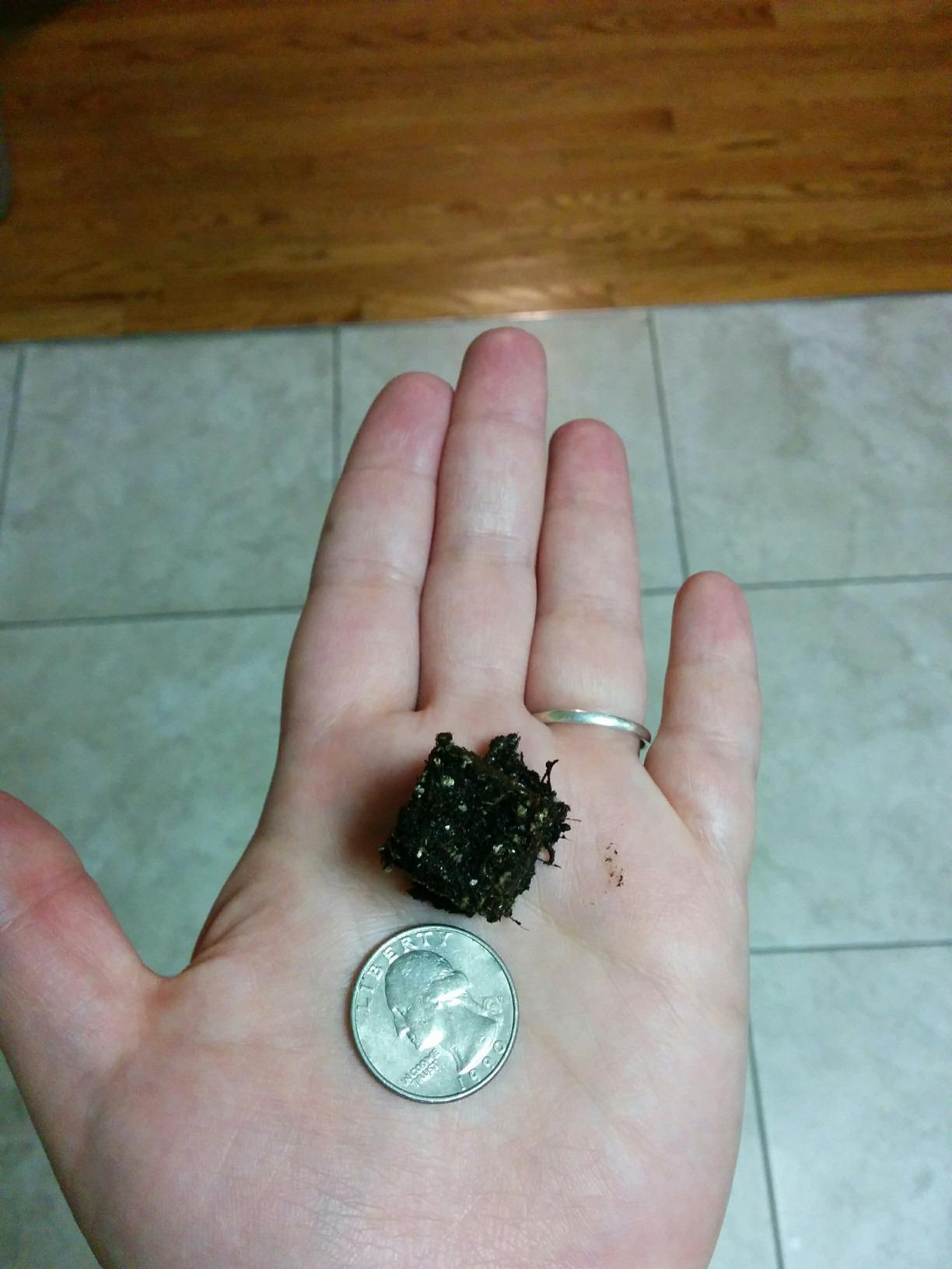 Authentic Ladbrooke 2-Pc Set, Micro 20 with Cubic Inserts, England | Add fine-seed capability to an existing Mini 4 - nest Micro 20 blocks inside it. No plastic pots, organic seed starting kit. customer photo 1