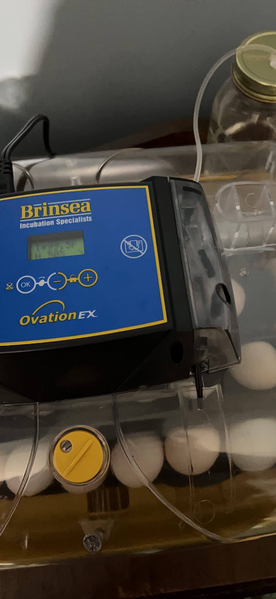 Brinsea Ovation 28 EX Egg Incubator, Automatic Turning & Humidity Control | 50+ years of trusted precision! Built-in automatic humidity, auto-turn & temp alarms take the stress out of hatching 28 eggs customer photo 2