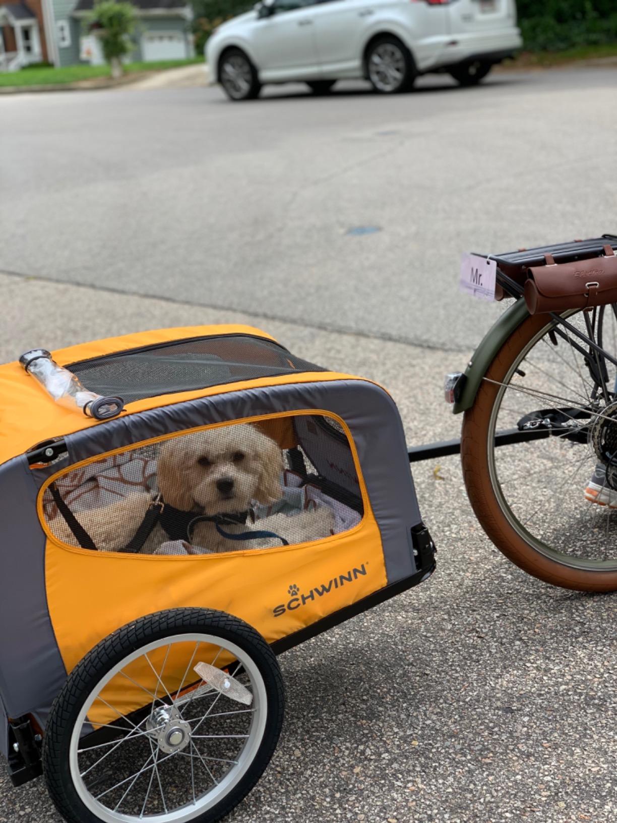 Schwinn 13-SC315 Rascal Bike Pet Trailer, For Small and Large Dogs, Lightweight, Tow with Bicycle, Up to 50 lbs. Small, Orange/Grey customer photo 1