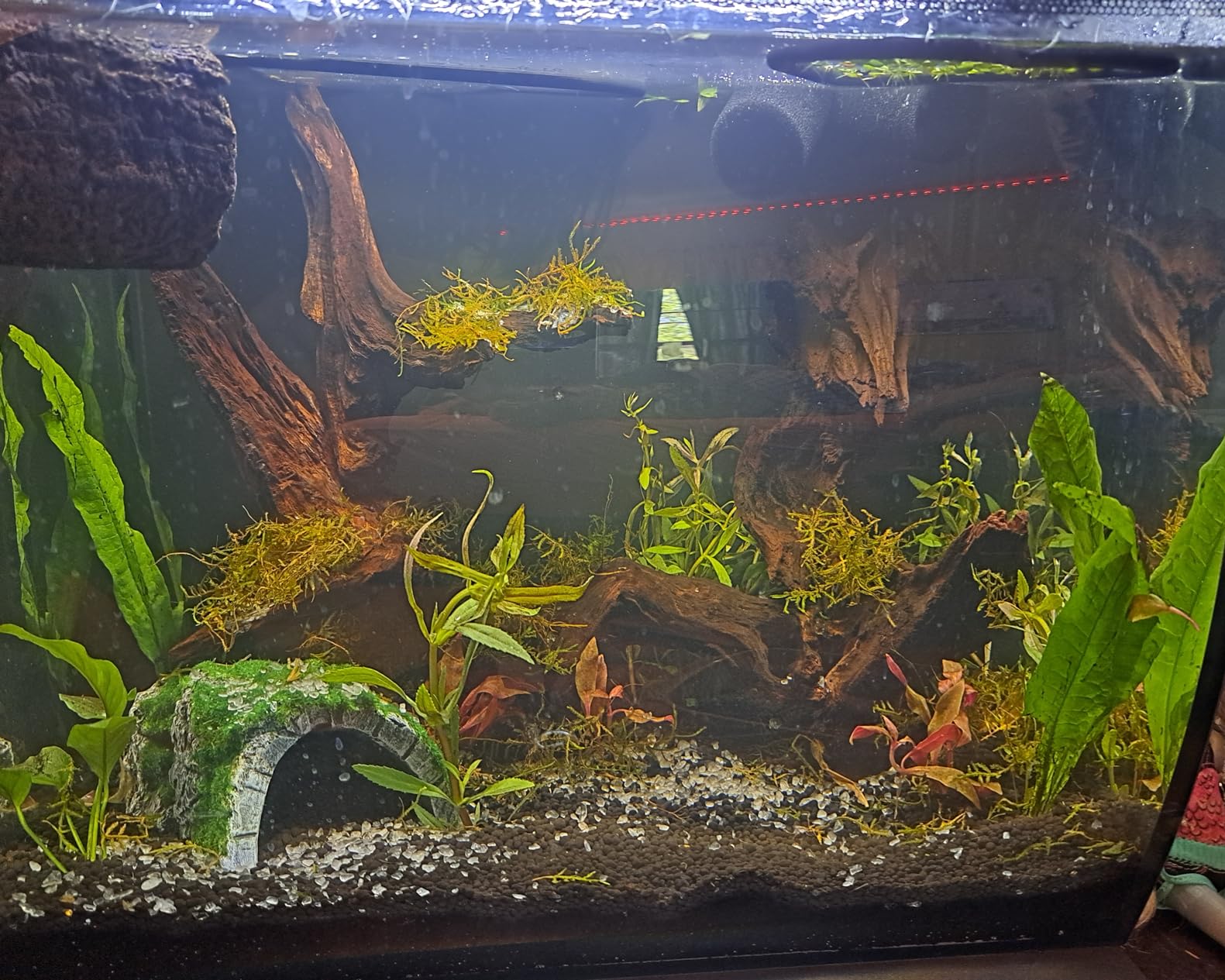 Fluval Flex 57 - 15 Gallon Nano Glass Aquarium Kit customer photo 2
