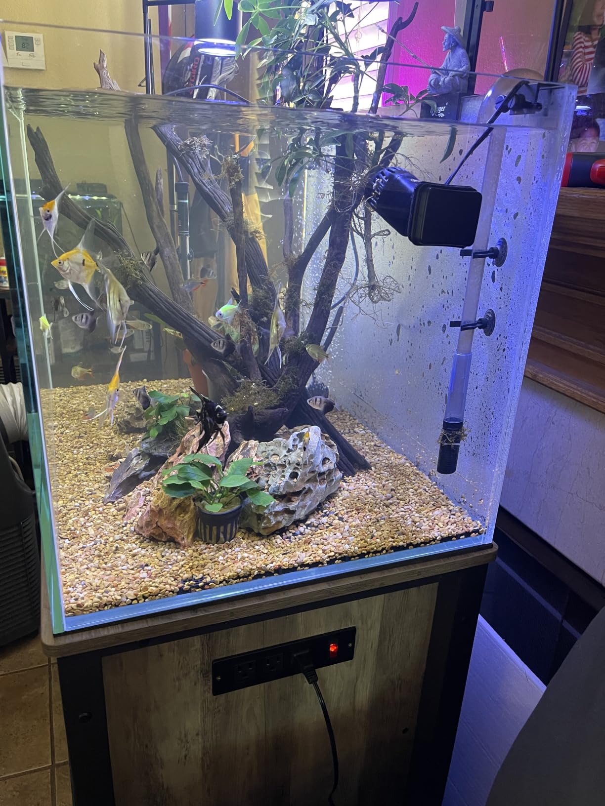 LANDEN 90P 55 Gallon Rimless Low Iron Aquarium Tank, W35.4×D19.7×H19.7 in(90x50x50cm) 10mm Thickness with Black Nano Foam Leveling mat Included customer photo 1