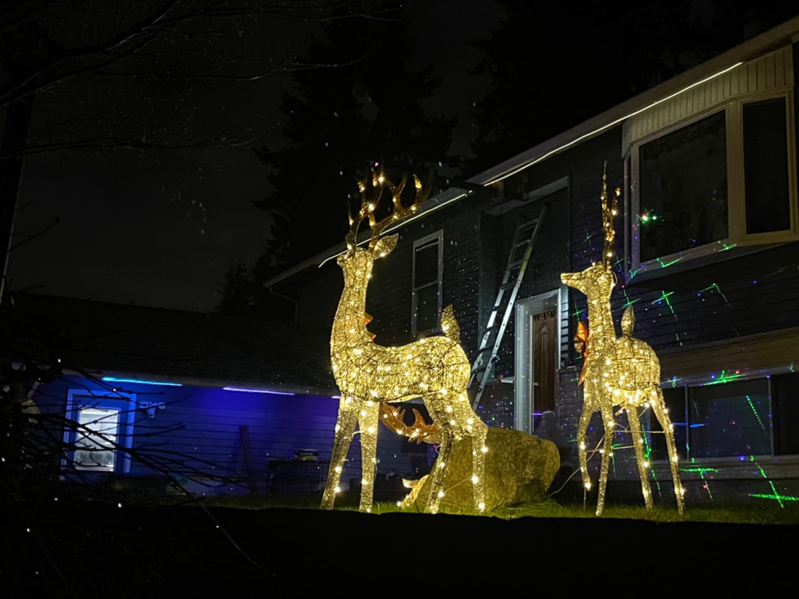 LEDMall Christmas Laser Projector Lights Outdoor, Motion Firefly Red, Green and Blue with Remote Control and Security Lock customer photo 1