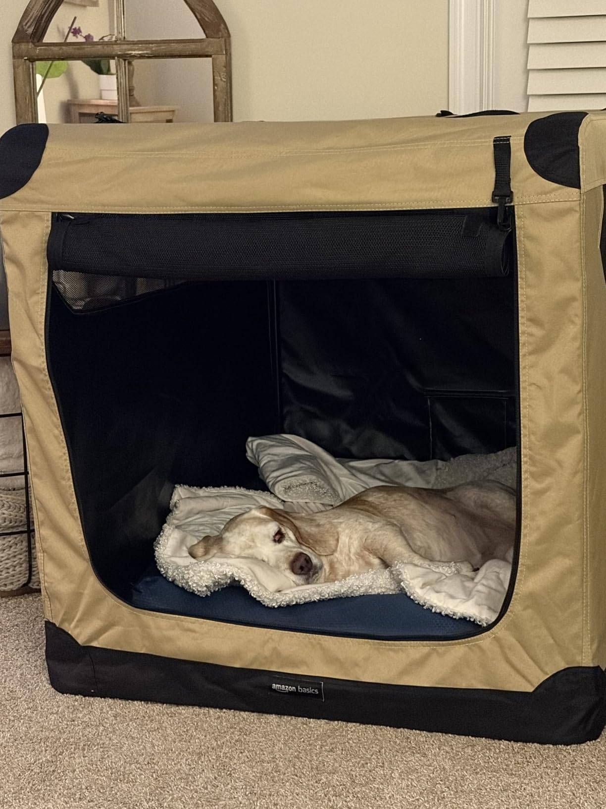 Amazon Basics Portable Folding Soft Dog Crate, Double Door, Collapsible Travel Kennel, Easy to Set Up, Sturdy, Secure, XL 42