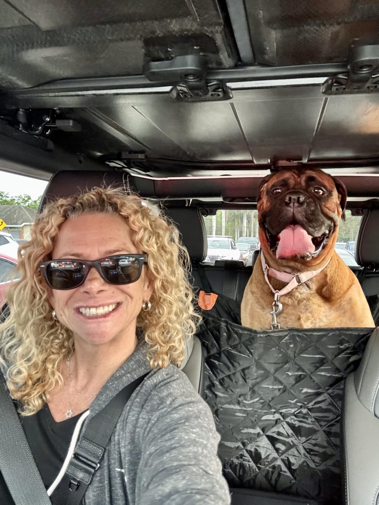 URPOWER Dog Car Seat Cover for Back Seat, Waterproof Hammock for Car & SUV | 600D Oxford, Side Flaps with Zippers, Scratch Resistant, Non-Slip, Easy Install, Machine Washable, Dog Seat Belt Included customer photo 2