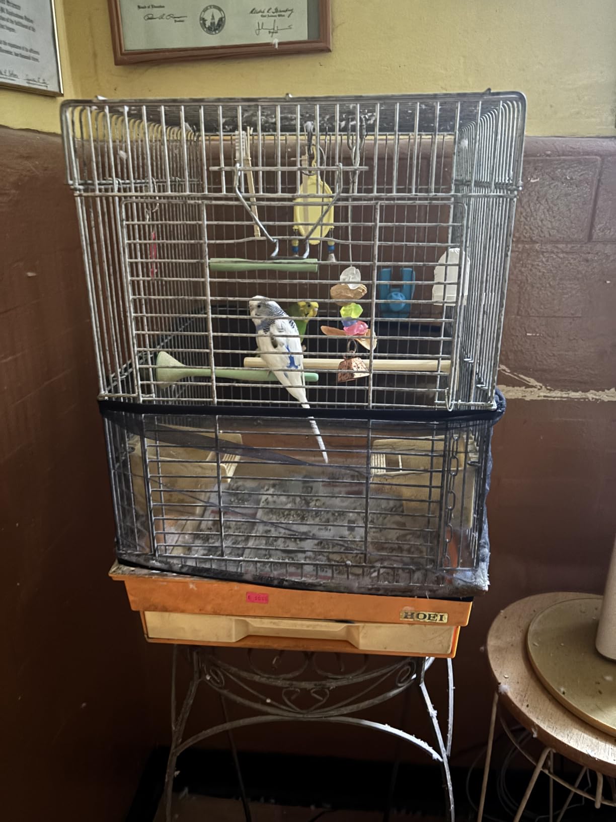 You & Me Finch Rectangle Flight Cage customer photo 1