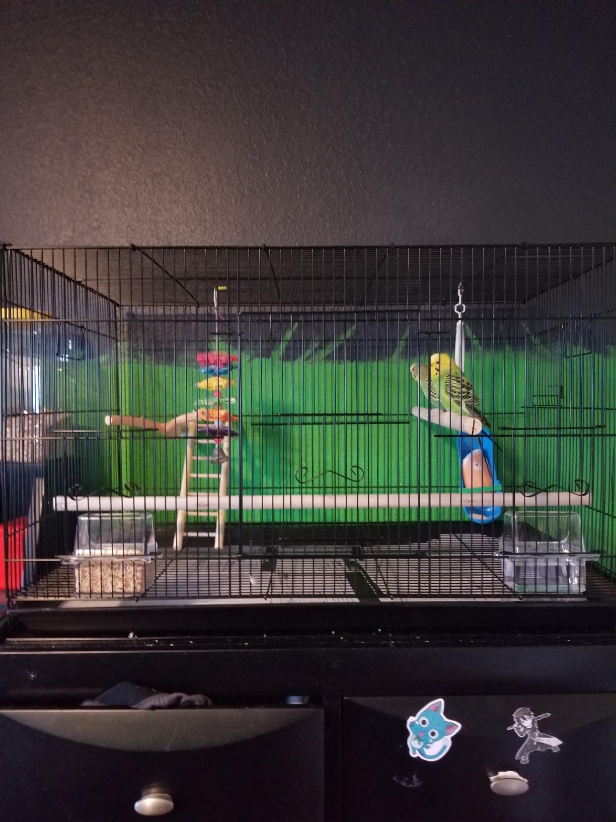 You & Me Finch Rectangle Flight Cage customer photo 2