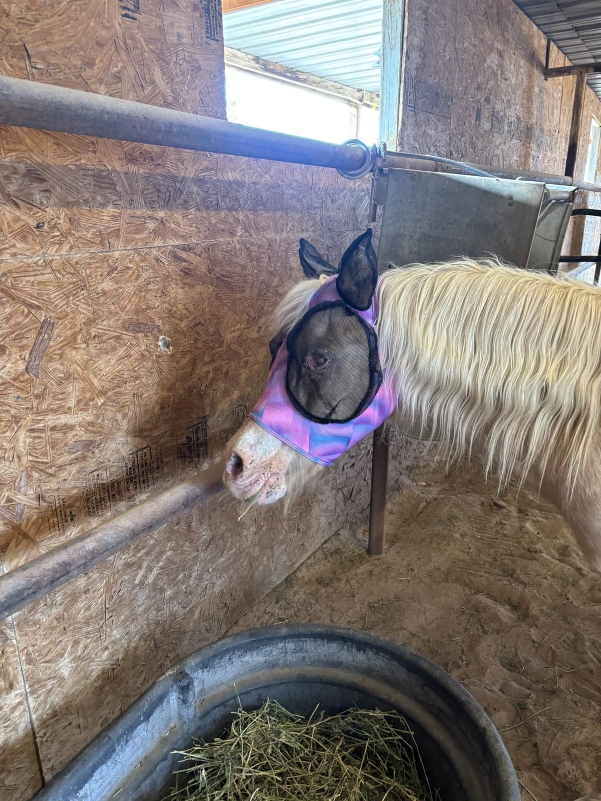 Professional's Choice Comfort-Fit Fly Mask | Smooth, Stretchy Material | Mesh Around the Eyes and Ears Allows for Clear Vision and Keeps Flies and Bugs Away | Pink Horse Size customer photo 1