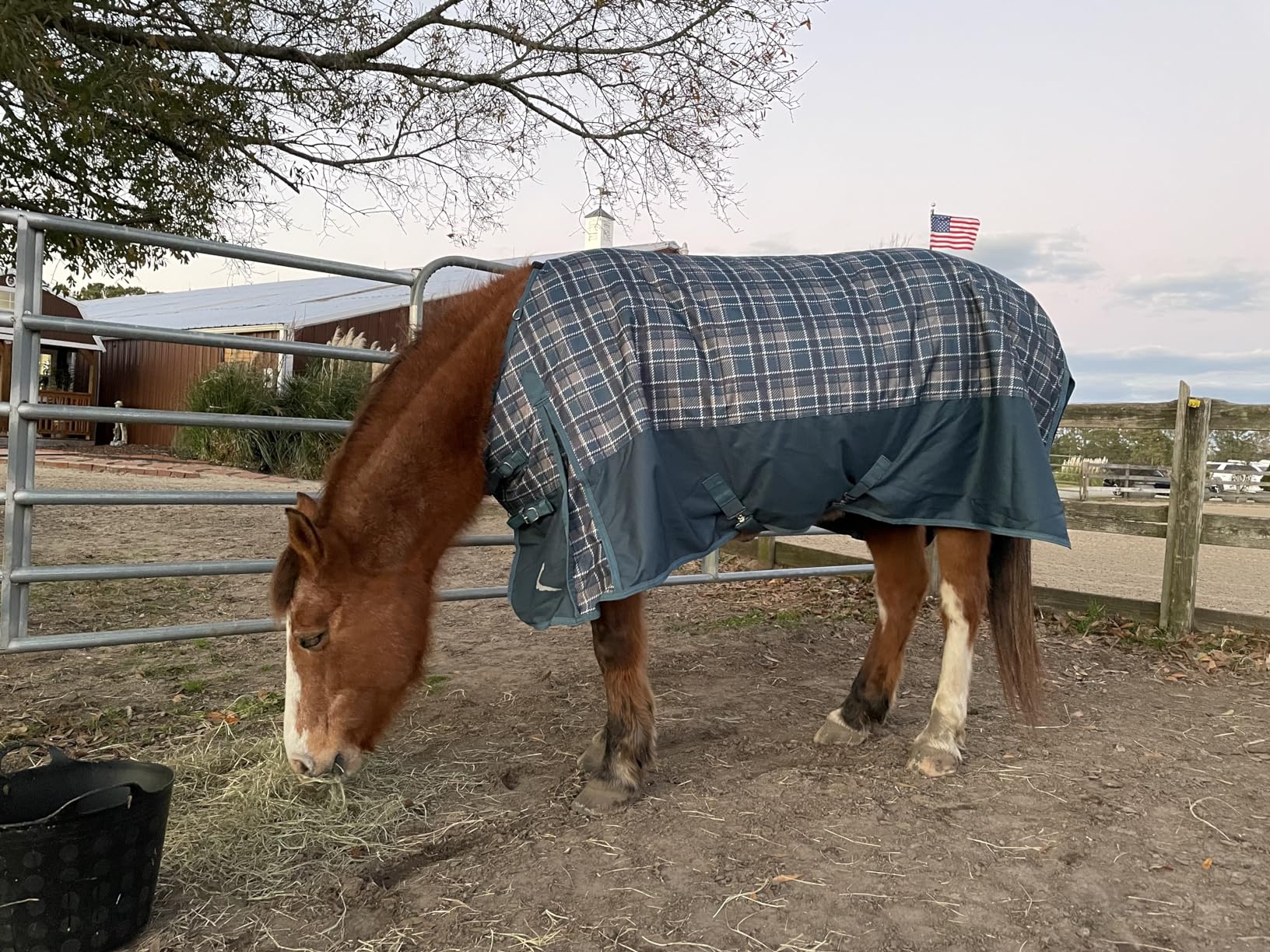 HORZE Nevada Medium Weight 1200D Waterproof Horse Turnout Blanket (200g Fill) - Black - 78 in customer photo 2