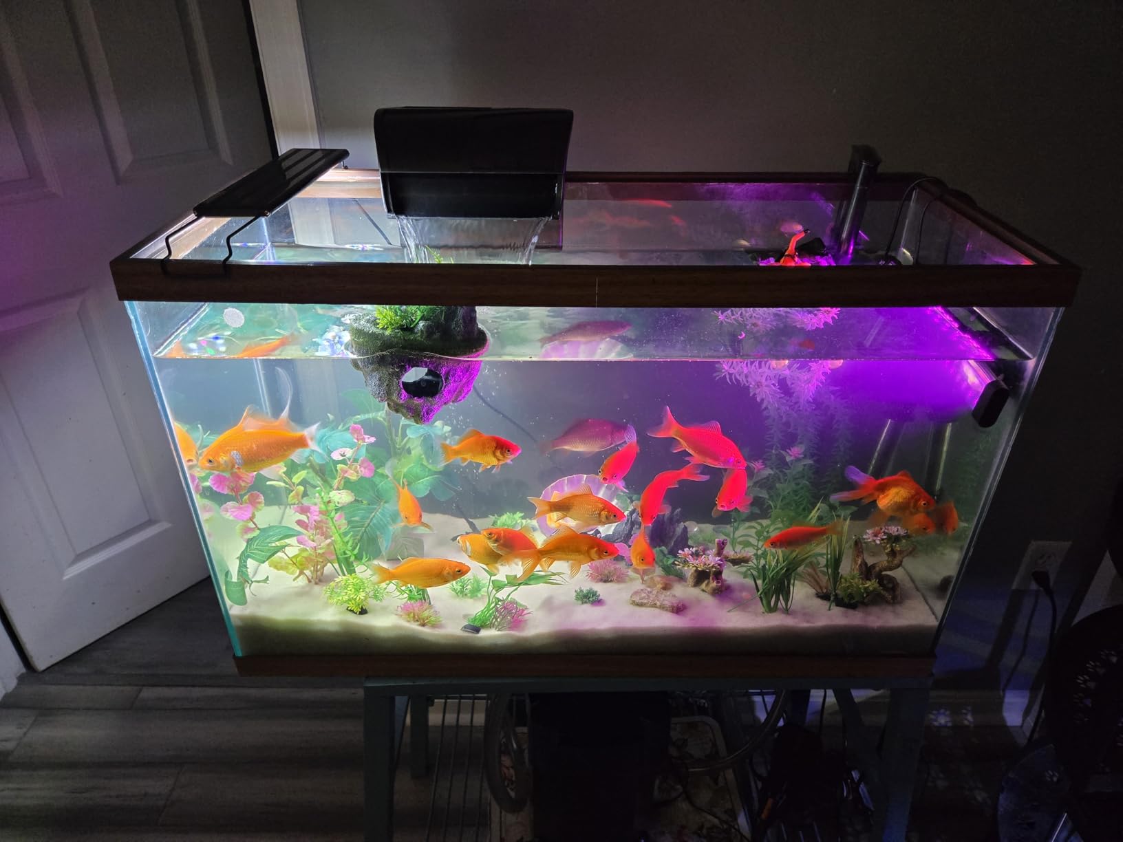 Aqueon QuietFlow Canister Aquarium Filter for Up to 55 Gallons with Biological, Chemical and Mechanical Stages customer photo 2
