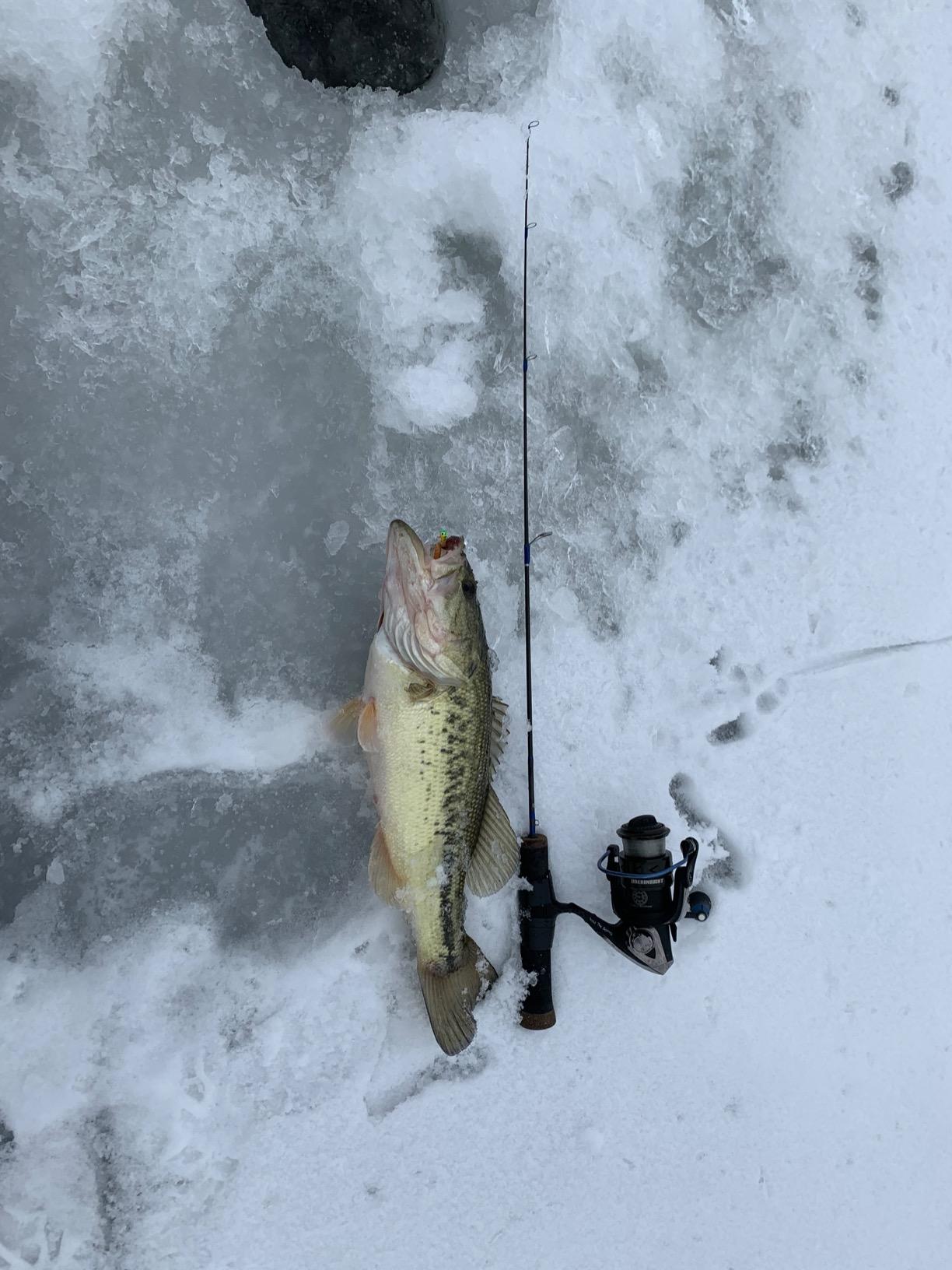 MarCum M1 Flasher System | High-Definition Ice Fishing Flasher | Advanced Fish Finder & Sonar System | Premium Fishing Electronics customer photo 2