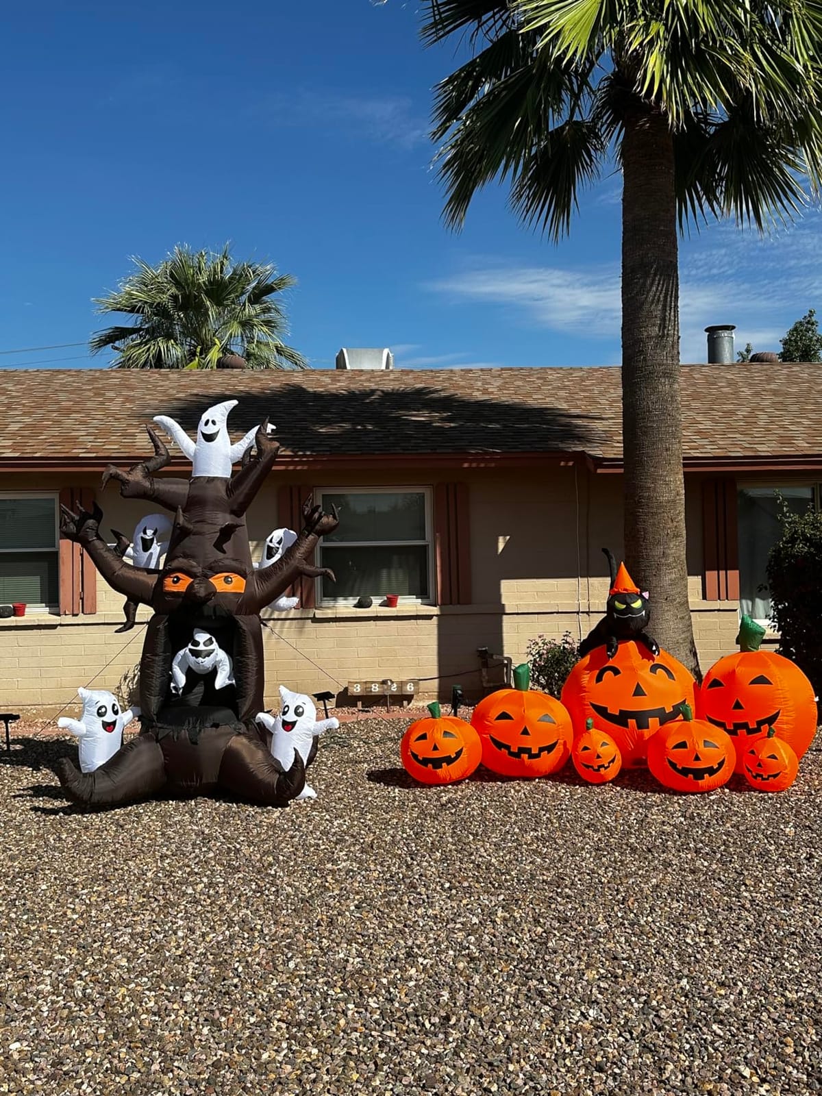 Joiedomi 7 FT Long Halloween Inflatables Pumpkin Outdoor Decorations, 7 Pumpkins Outside Decoration with Witch's Cat with Build-in LEDs Blow Up Inflatables for Party Yard Lawn Garden Decor customer photo 2