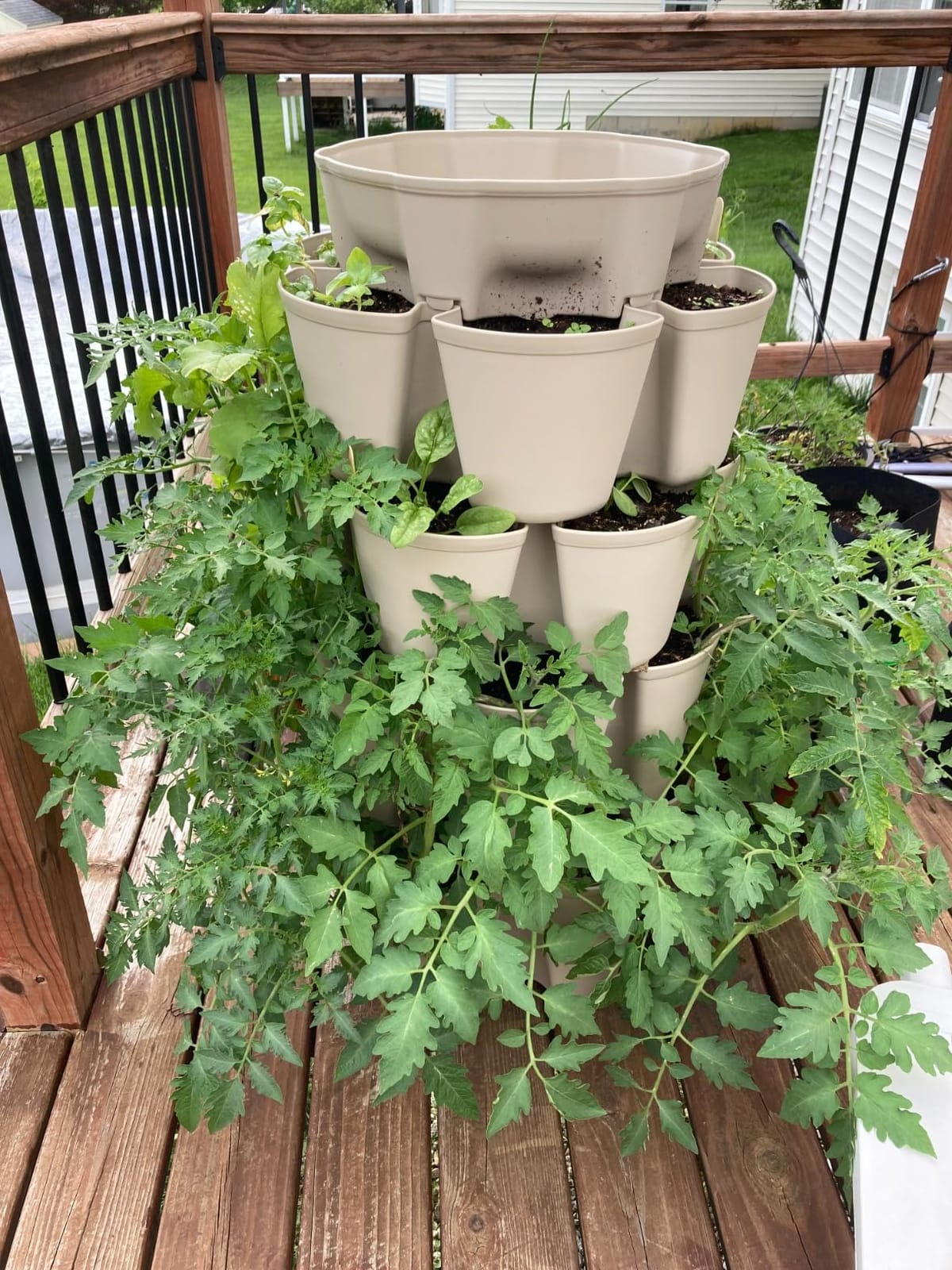 Greenstalk Patented Large 5 Tier Vertical Garden Planter with Patented Internal Watering System Great for Growing a Variety of Strawberries, Vegetables, Herbs, & Flowers (Stunning Stone) customer photo 1