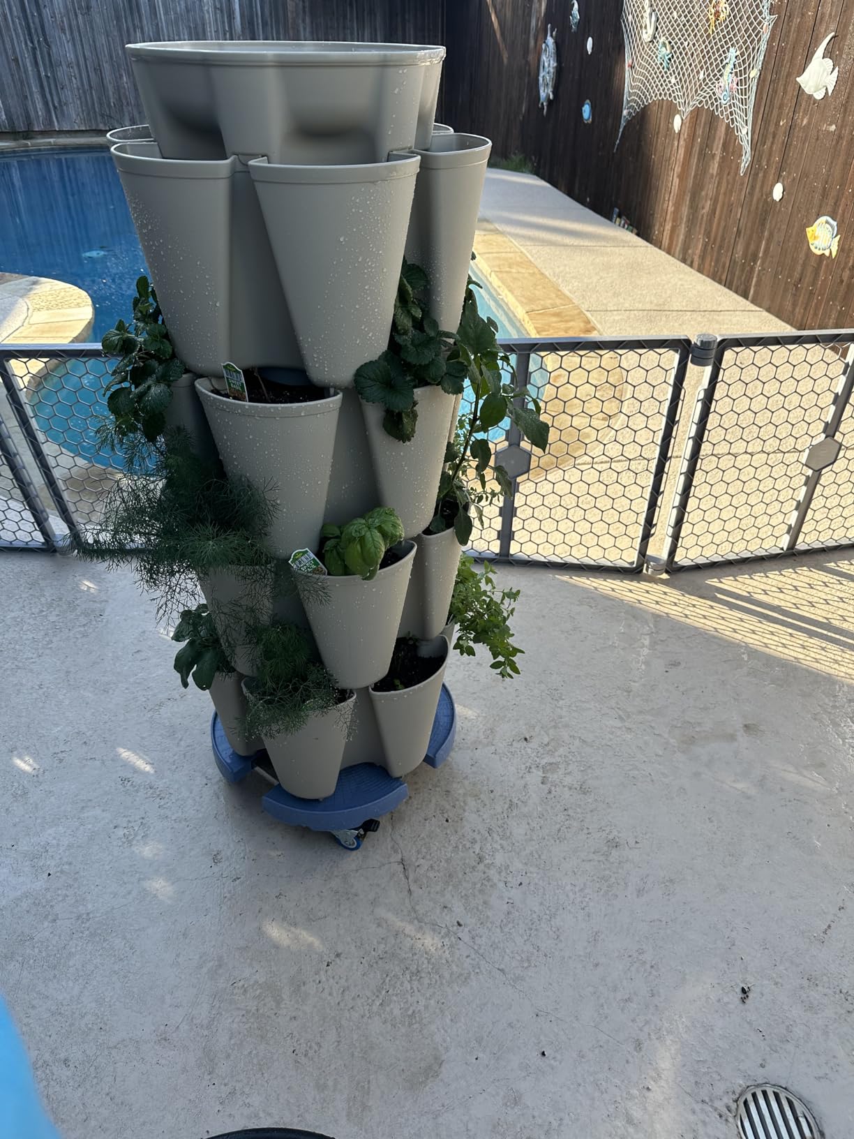 Greenstalk Patented Large 5 Tier Vertical Garden Planter with Patented Internal Watering System Great for Growing a Variety of Strawberries, Vegetables, Herbs, & Flowers (Stunning Stone) customer photo 2