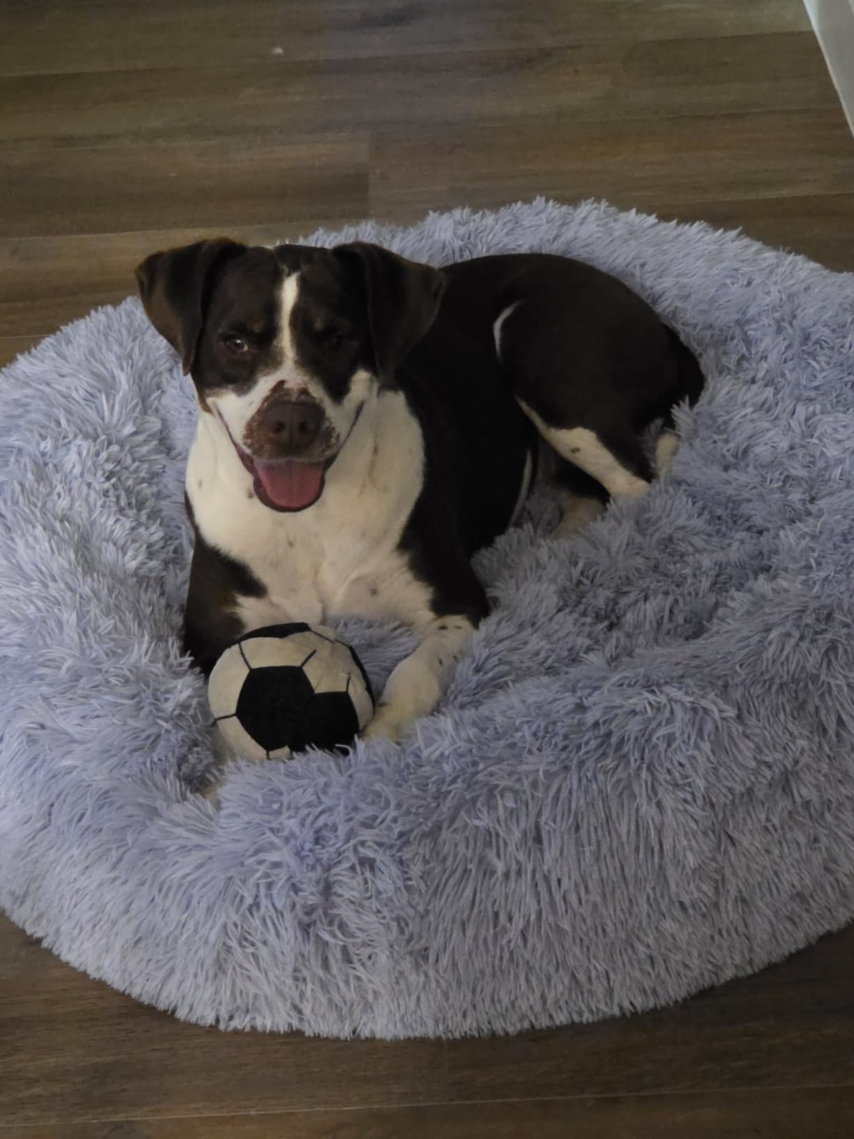 Best Friends by Sheri Original Calming Donut Dog Bed, Lux Faux Fur, Orthopedic Support, Water-Resistant Base, Small Dogs Up to 25 lbs customer photo 1