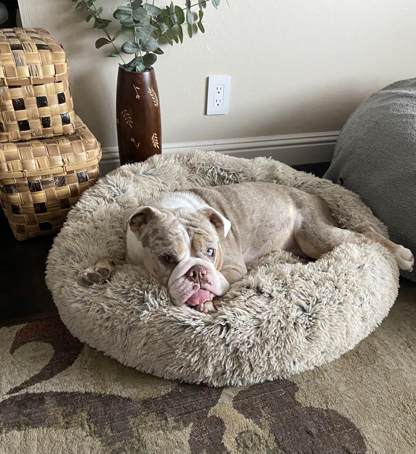 Best Friends by Sheri Original Calming Donut Dog Bed, Lux Faux Fur, Orthopedic Support, Water-Resistant Base, Small Dogs Up to 25 lbs customer photo 2