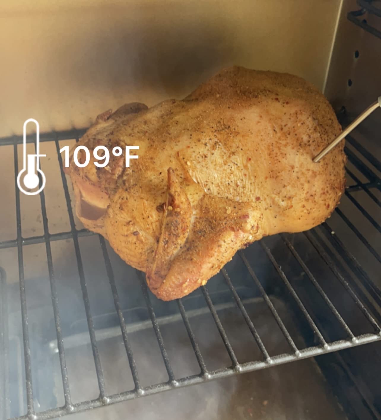 PIT BOSS PBV3P1 Vertical Pellet Smoker, Copper customer photo 1