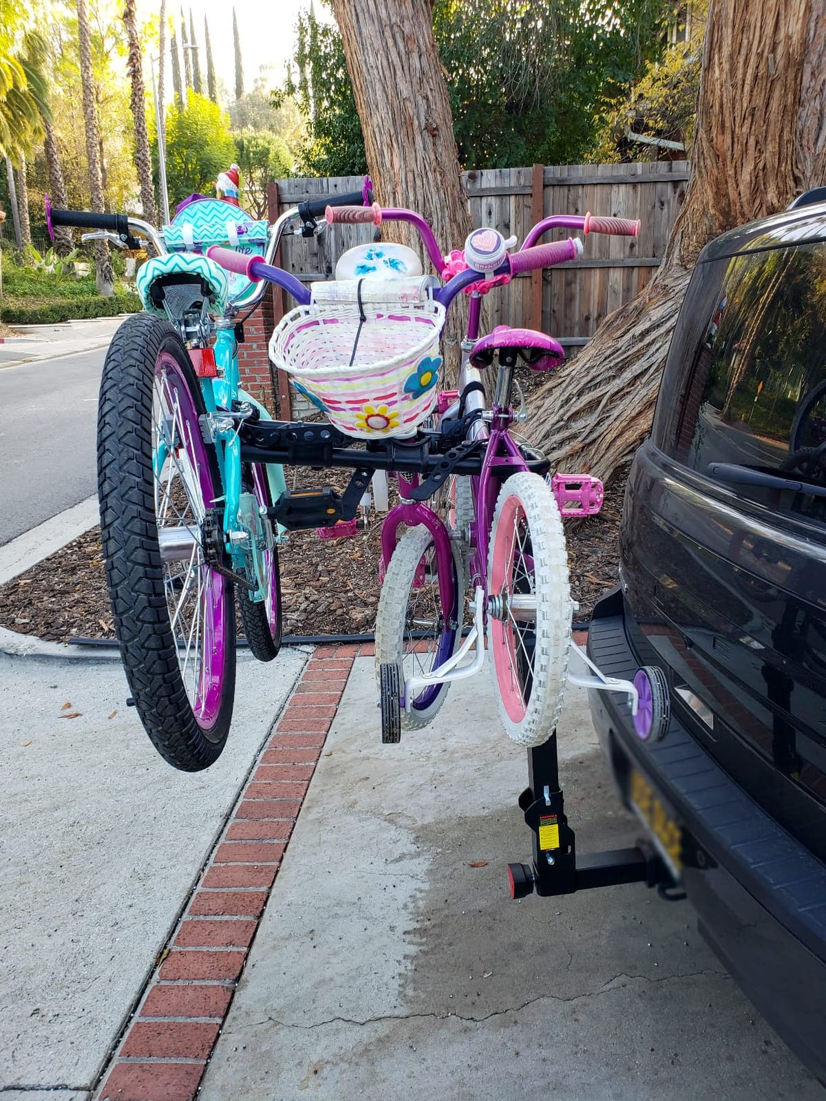 Allen Sports Premier Locking Quick Release 4-Bike Carrier for 2 in. Hitch, Black customer photo 2