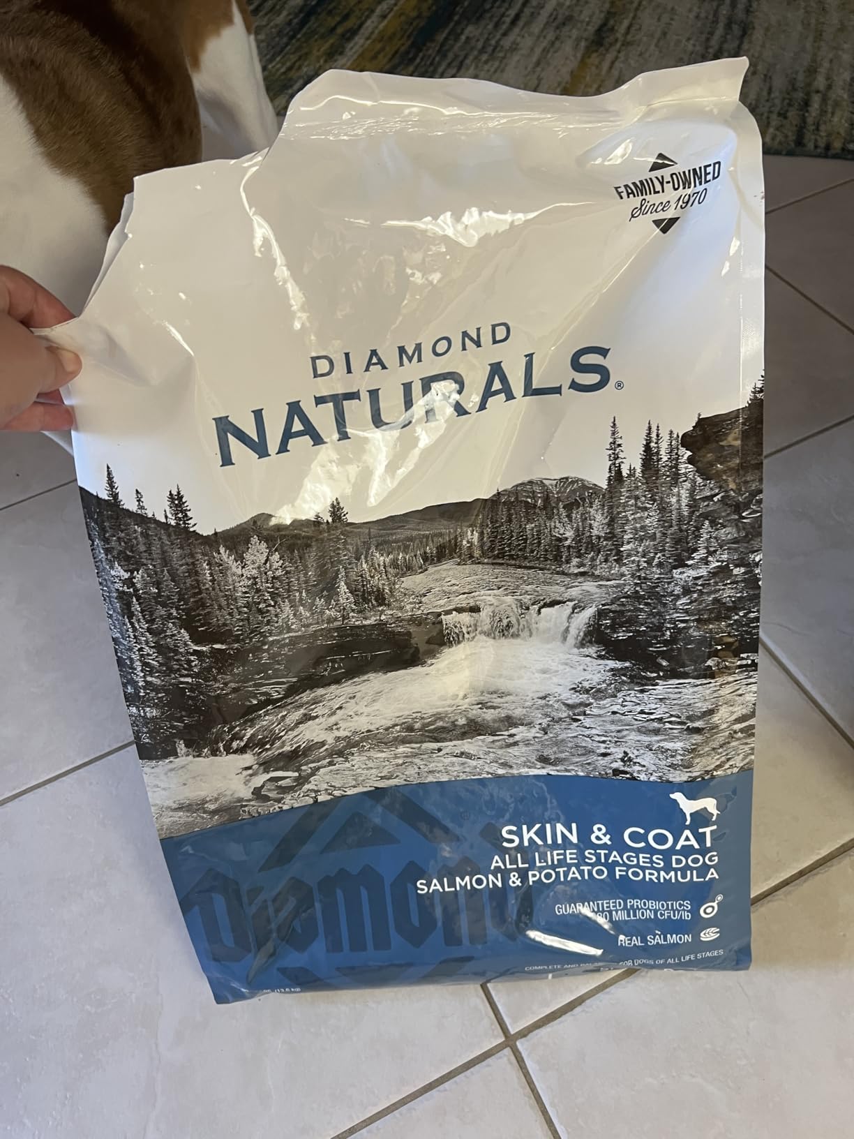 Diamond Naturals Skin & Coat Puppy, Adult & Senior Dry Dog Food Salmon 30lb customer photo 1