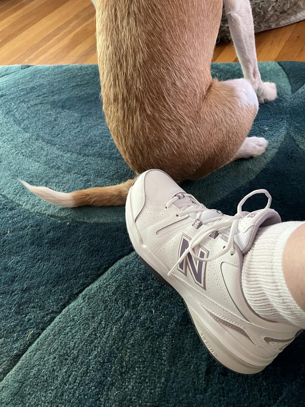 New Balance Women's 608 V5 Casual Comfort Cross Trainer customer photo 2