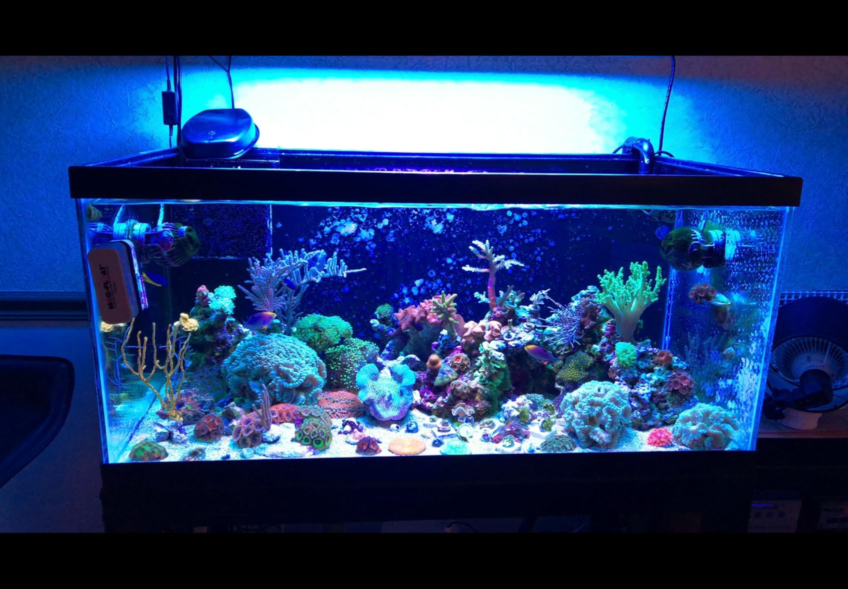 Innovative Marine Mighty Jet DC Return Pump (Midsize: 538 GPH) customer photo 2