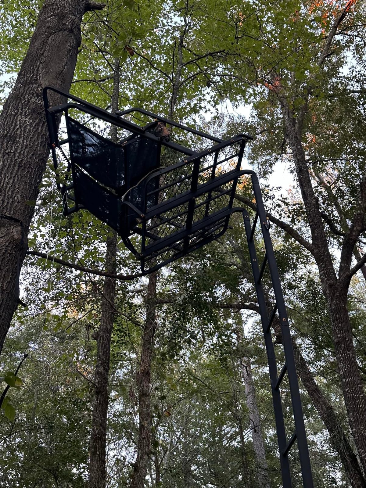 Muddy 2-Person Nexus XTL Steel Ladder Tree Stand, 20 ft Tall | 500 lb Capacity - Hunting Treestand with Flex-Tek Seat, Footrest, Padded Shooting Rail, Cup Holders & Safety Hooks customer photo 1