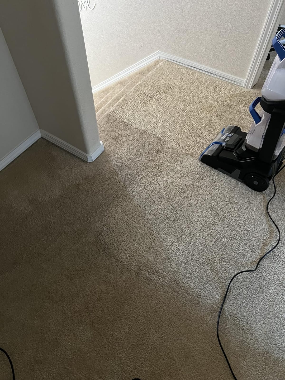 Bissell PET PRO OXY Urine Eliminator with Febreze Carpet Deep Clean Solution, 48oz customer photo 2