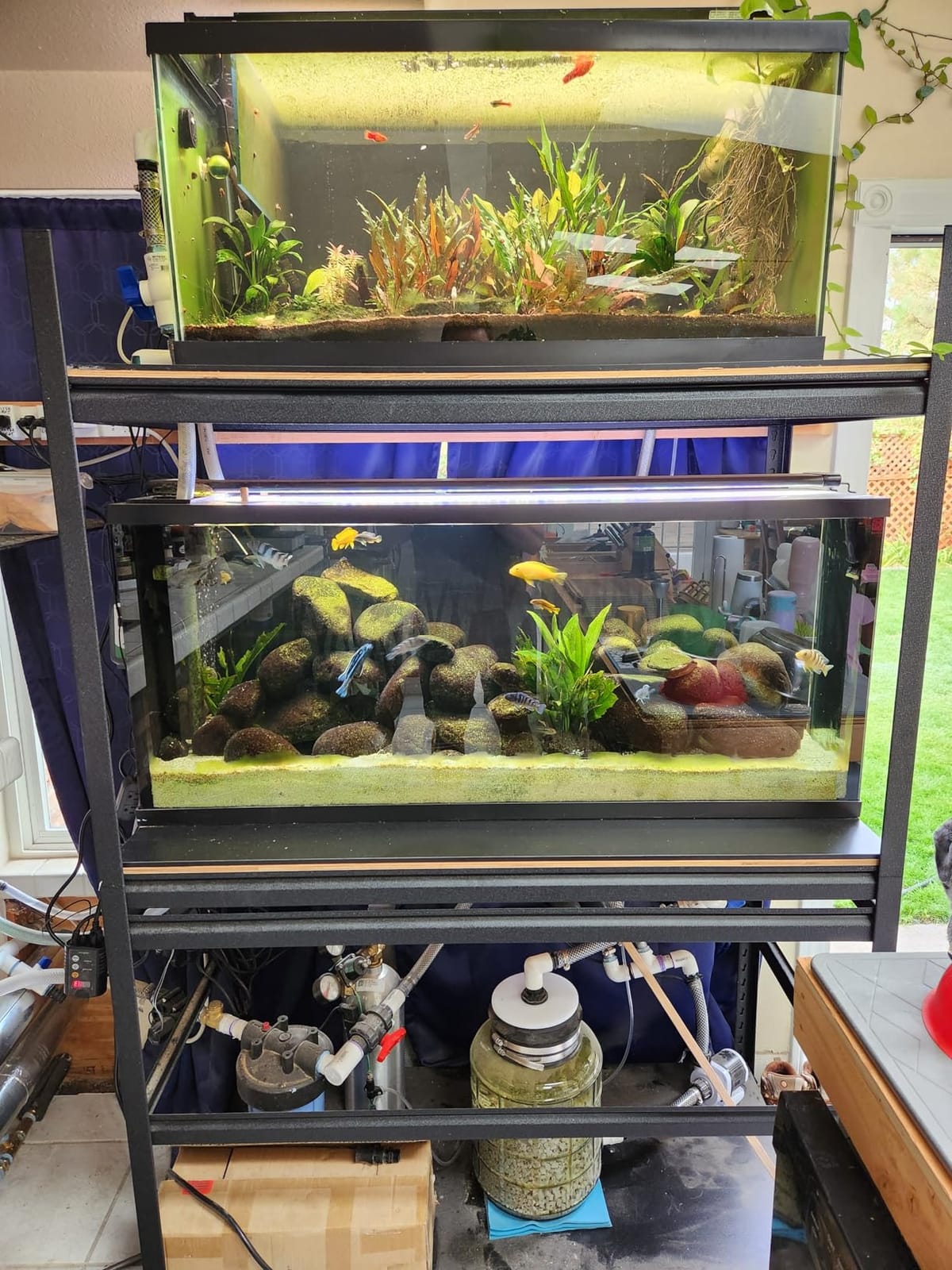 Orlushy DC-4000 Silent Swirl Controllable DC Aquarium Pump 25W 1050GPH - Marine Wavemaker Return Pump with Sine Wave Controller for Salt/Freshwater Coral Reef Fish Tank Sump Circulation customer photo 2