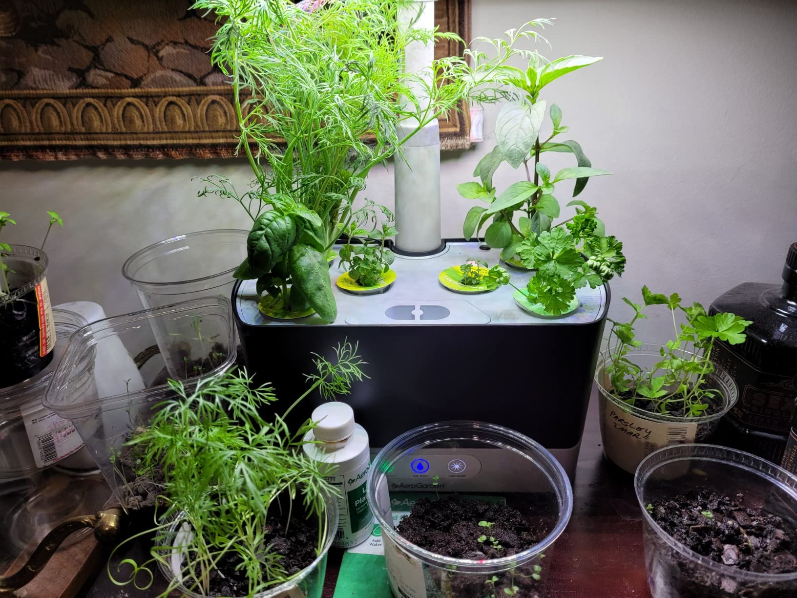 AeroGarden Harvest Indoor Garden Hydroponic System with LED Grow Light and Herb Kit, Holds up to 6 Pods, White customer photo 2