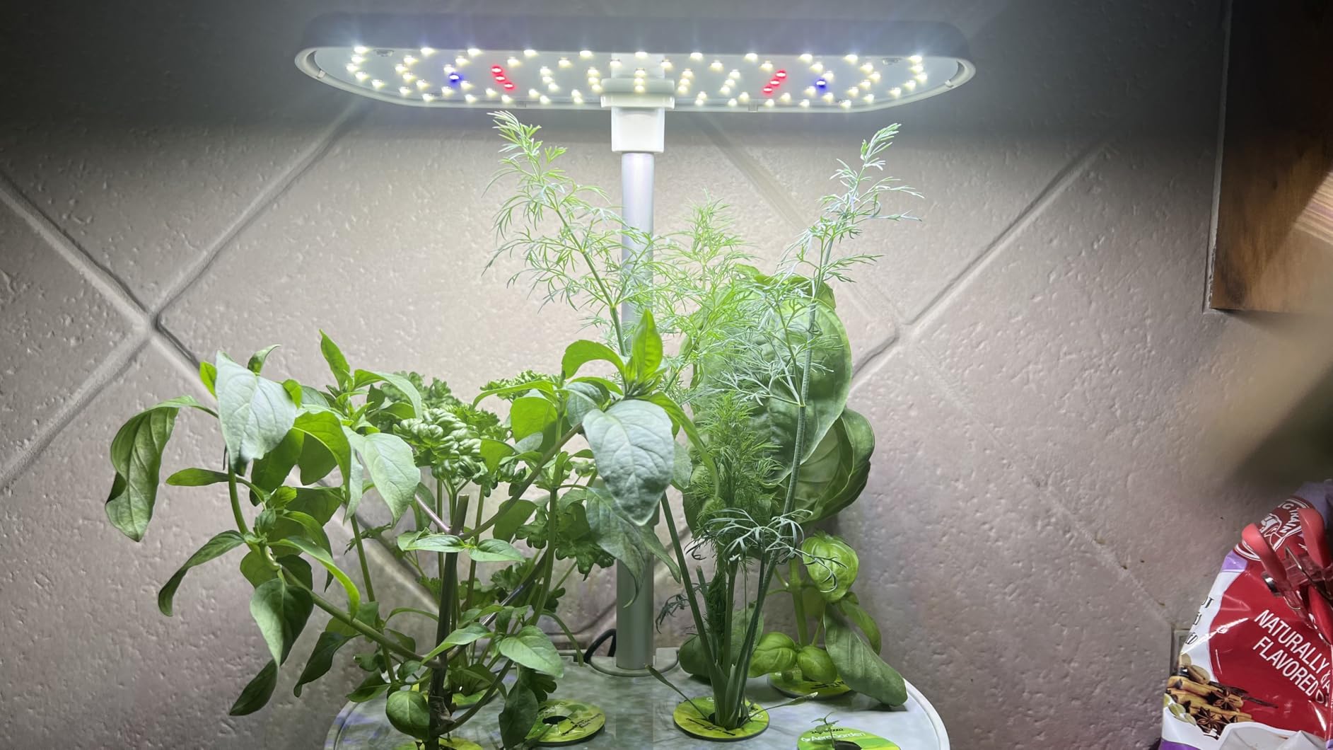 AeroGarden Harvest Elite, Stainless Steel Indoor Garden with LED Grow Light and Seed Pod Kit customer photo 1